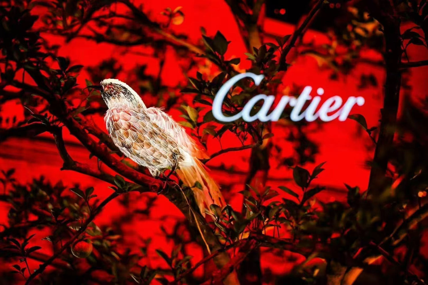 Cartier/Jo Malone/Brand Collaboration