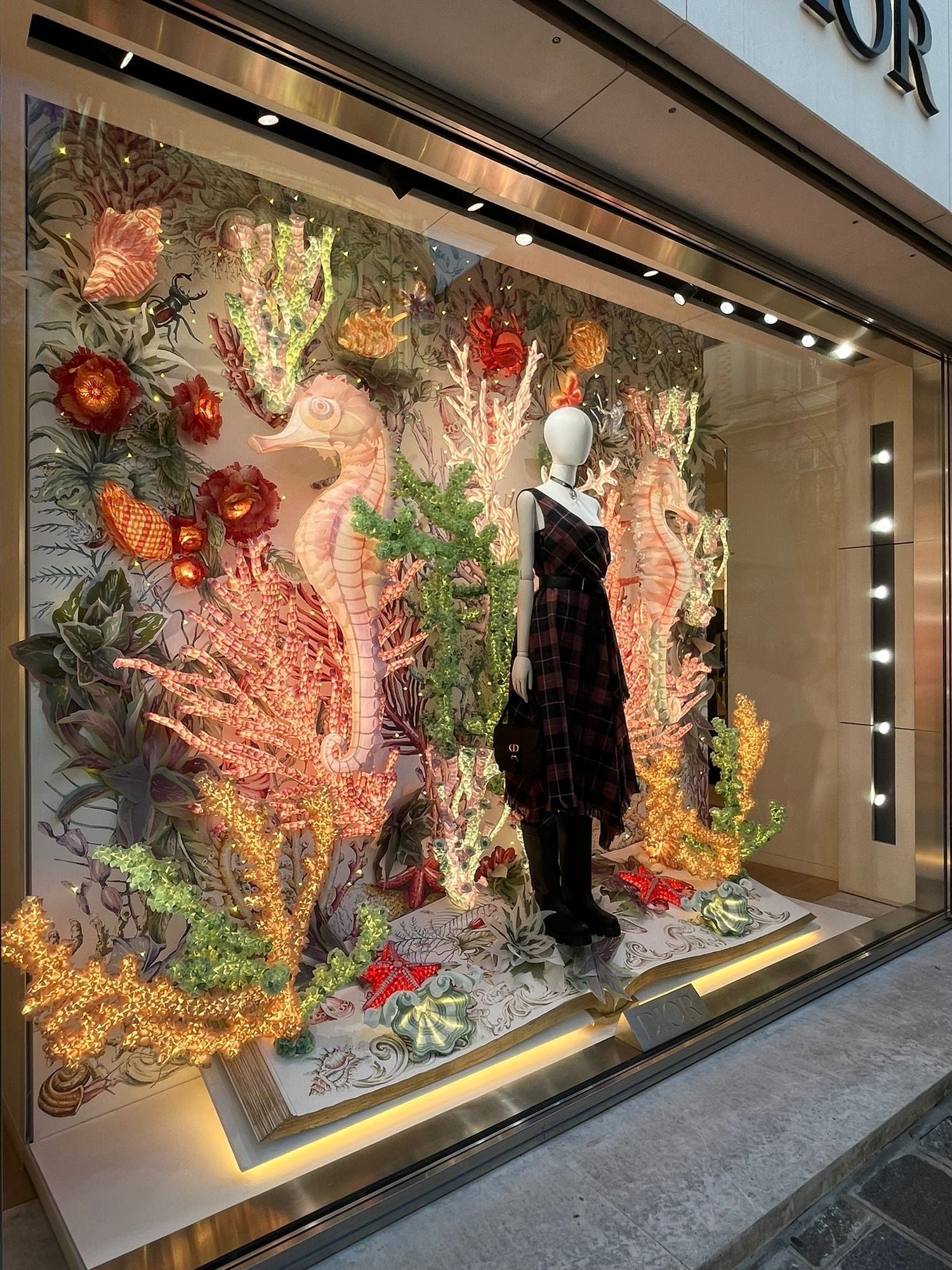 Dior/Brand Collaboration